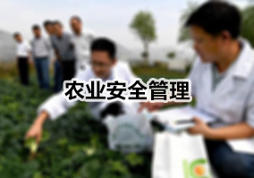 �r(n��ng)�I(y��)��ȫ����